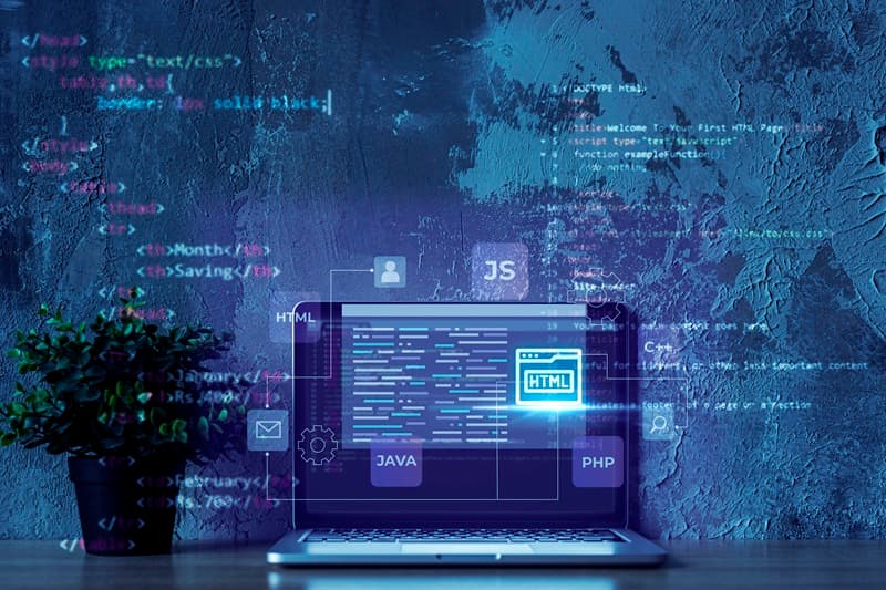 Frontend Web Development